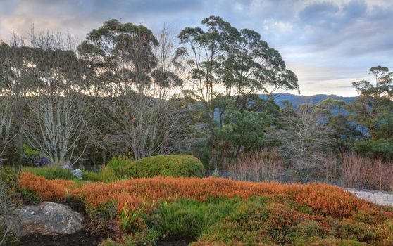 Beautiful Blue Mountains Australia  landscape vista