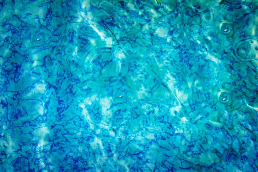 Blue tiles on the bottom of the pool with water