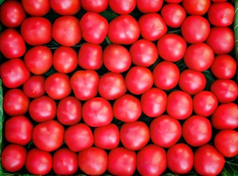 A large number ripe bright red tomato lie on a shop show-window.