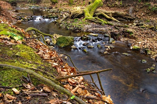 Stream flowing in the forest