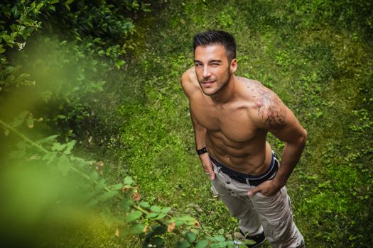 Good looking, shirtless fit male model looking up with wink, outdoors on grassland