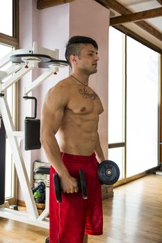 Portrait of a handsome muscular young man lifting weights at the gym