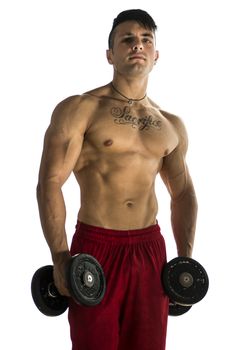 Portrait of a handsome muscular young man lifting weights, isolated on white