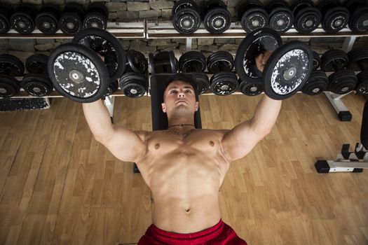 Portrait of a handsome muscular young man lifting weights on a bench at the gym