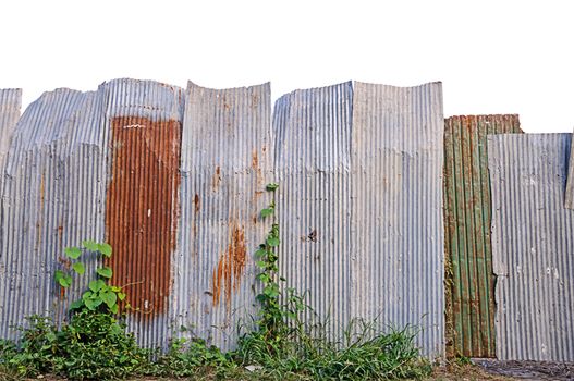 Old galvanized iron fence with the weeds