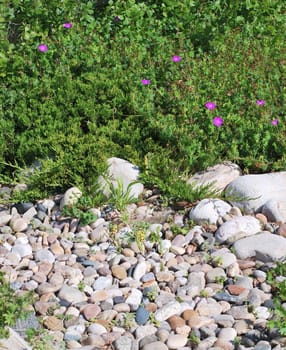 Rock garden exterior view outdoors.