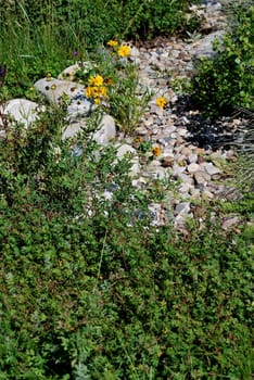 Rock garden exterior view outdoors.