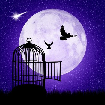illustration of cage for bird in the moonllight