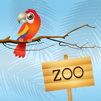 illustration of parrot in the zoo