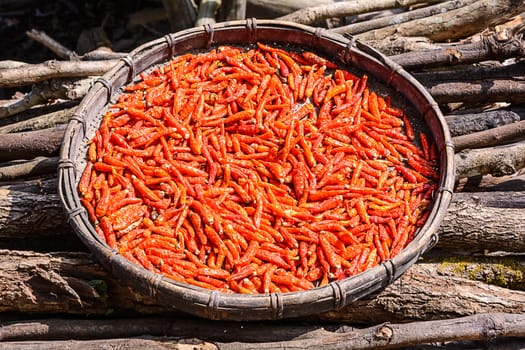 Chili dried in the bamboo basket at the farmers house. 