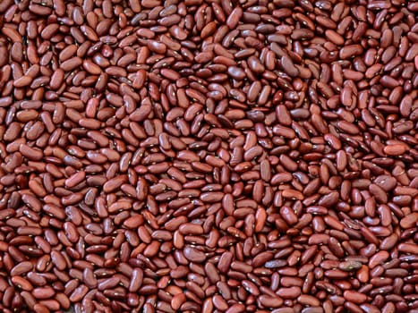 Red beans pattern for a background uses