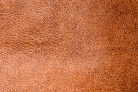 Leather texture background