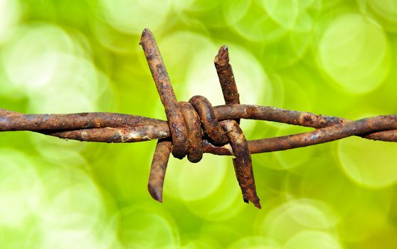 Barbed wire