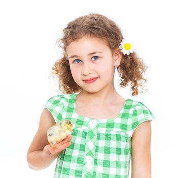 Happy little girl holding baby chickens - isolated white background