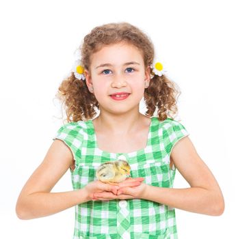 Happy little girl holding baby chickens - isolated white background