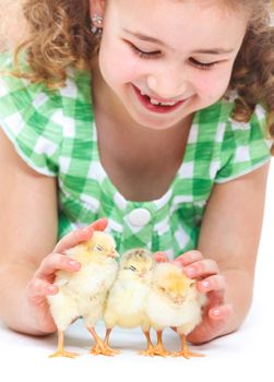 Closeup of Happy little girl holding baby chickens - isolated white background