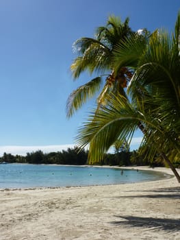 Beach Of Grand Baie, North Of Mauritius Island