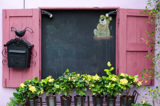 Yellow flower in plant pots growing on pink windows and blackboard