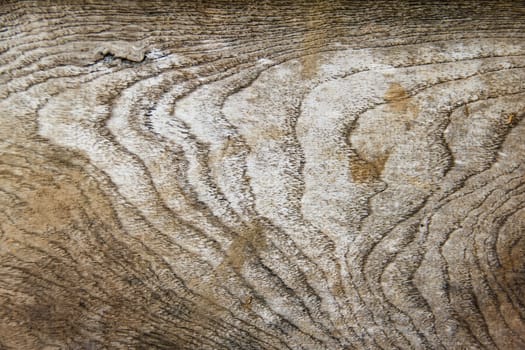wood texture. Abstract background