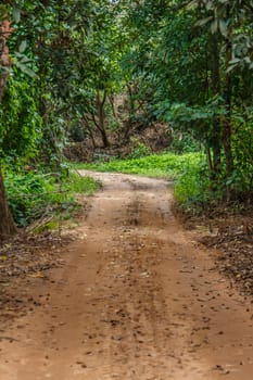 Rural road,ground way