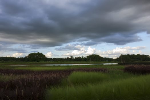 Herbal Landscape near Mekok River. Chiang Rai, Thailand.