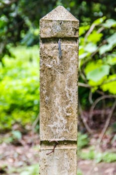 concrete Pillar in orchard