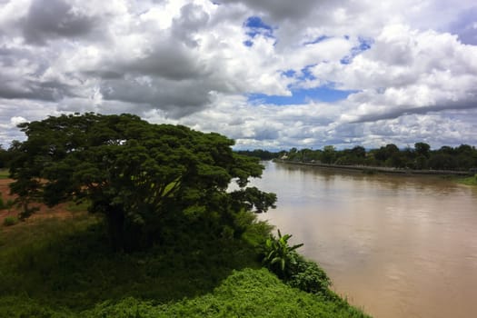 Mekok River and Tree. Flowing from Thaton to Chiang Mai, Thailand.