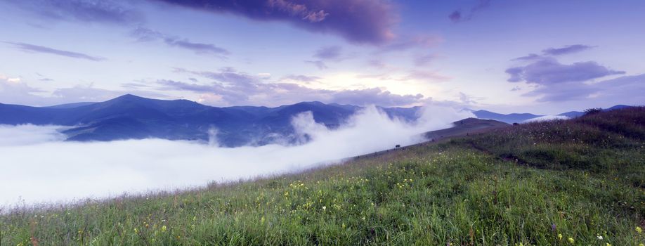 evening mountain plateau landscape (Carpathian, Ukraine) 