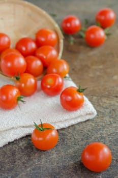 close up ripe cherry tomatoes  spilling out from the basket