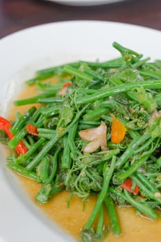 close up stir fried chayote with chili on white dish