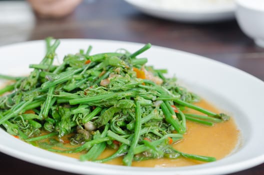 close up stir fried chayote with chili on white dish