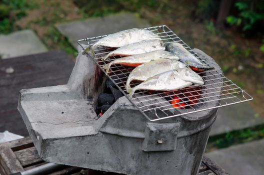 grill mackerel fish on  asian stove