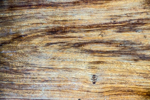 nature wood texture,shallow focus