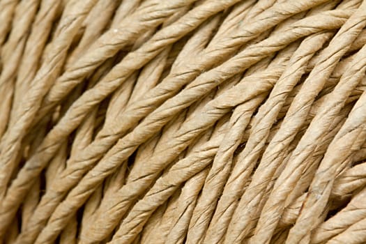 Photo shows detail of a nature rope.