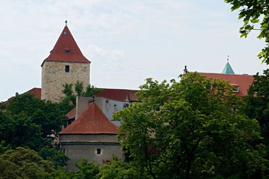 Photo shows details Prague castle gardens.