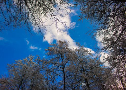 Winter landscape in The Styria,Austria