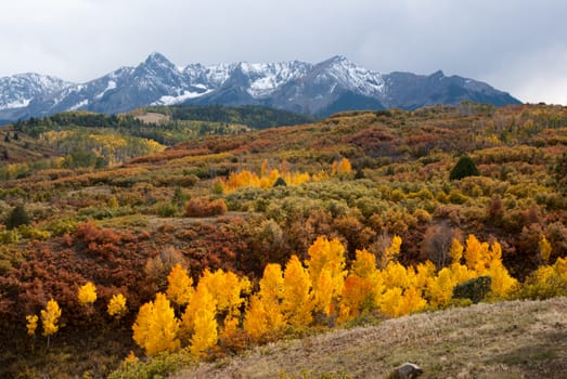 Snow capped mountains and last colors of Fall in Colorado