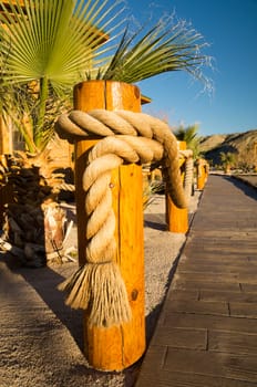 Palm trees and ropes on boardwalk