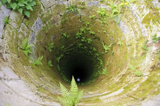 Old deep well with plants on its walls