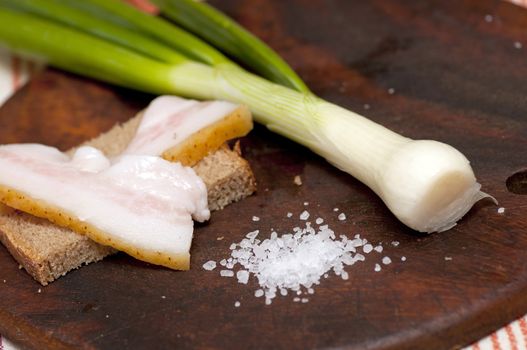 Salted lard on rye bread served with green onion