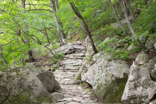 trail in the mountains, Mount Kumgang. North Korea.