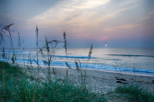 Beautiful empty beach at sunrise with dune vegetation