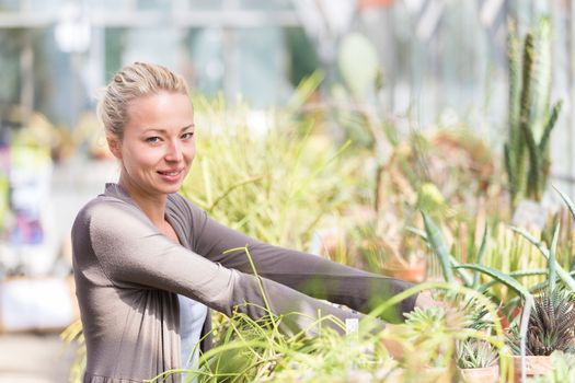 Cheerful florists woman working with topical plants and cacti in a greenhouse. 