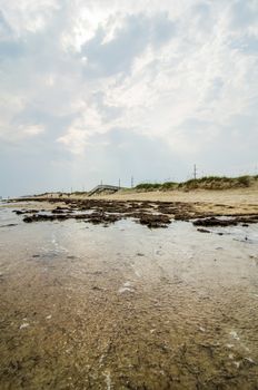 Cape Hatteras National Seashore on Hatteras Island North Carolina USA