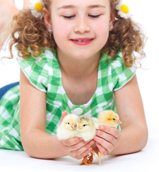 Happy little girl holding baby chickens - isolated white background