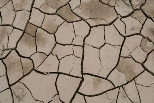 Cracked soil