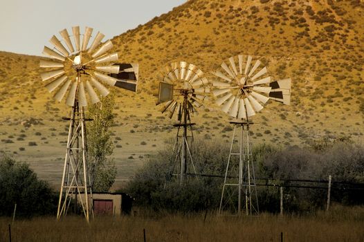 Trio of windpumps at sunset in the Southern Free State Province of South African 
