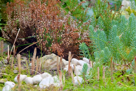 Photo shows closeup details of stones in the wood and grass.