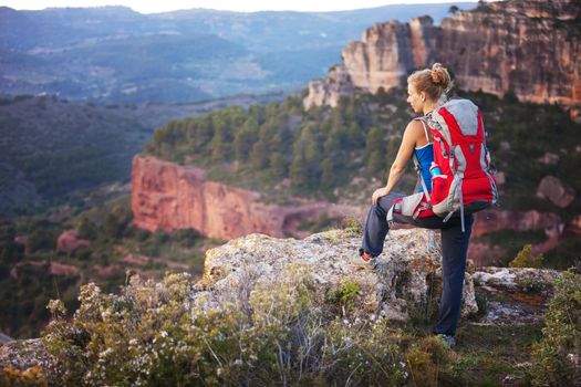 Woman tourist watching valley view while standing on edge of cliff