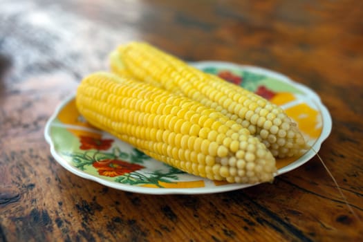 Cooked sweet corn on terelke on the background of old table